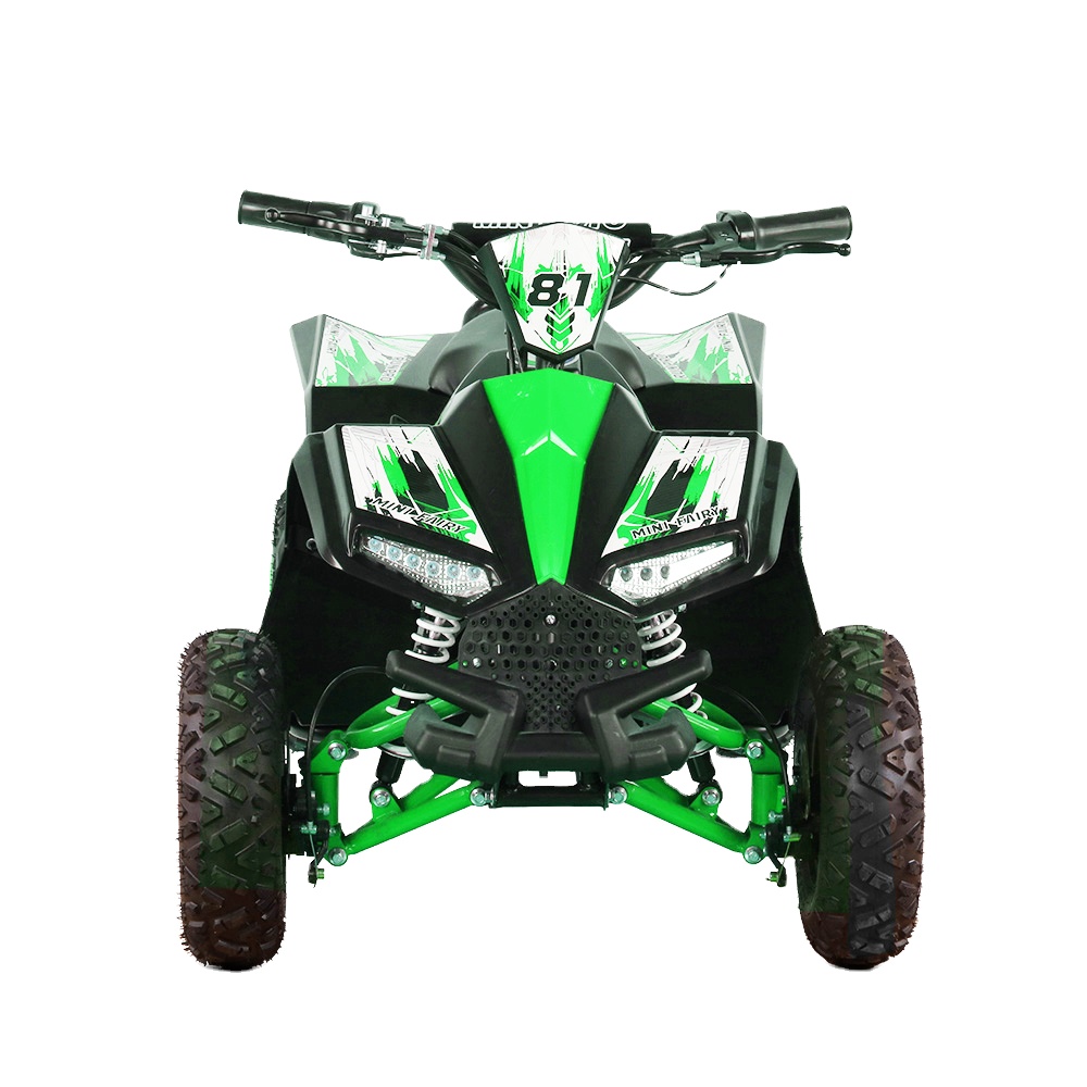 Kids Outdoor Electric Quad - Детский электрический квадроцикл 1000W 48V, 4-колесный